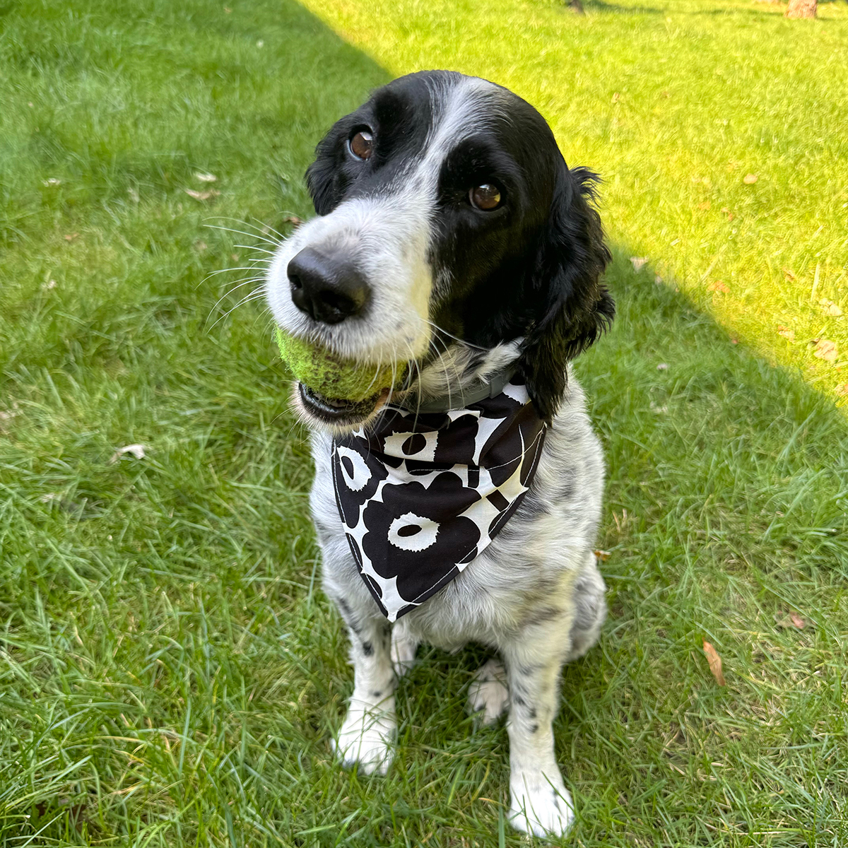 Bella Marimekko Unikko Bandana